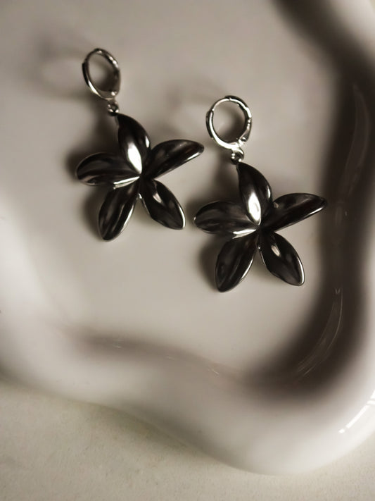 Évanescence créoles